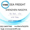 Shenzhen Port Seefracht Versand nach Nagoya